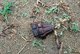 Sudan / South Sudan: Fragment of a Rocket Propelled Grenade near Juba, debris from the Second Sudanese Civil War (1983-2005)